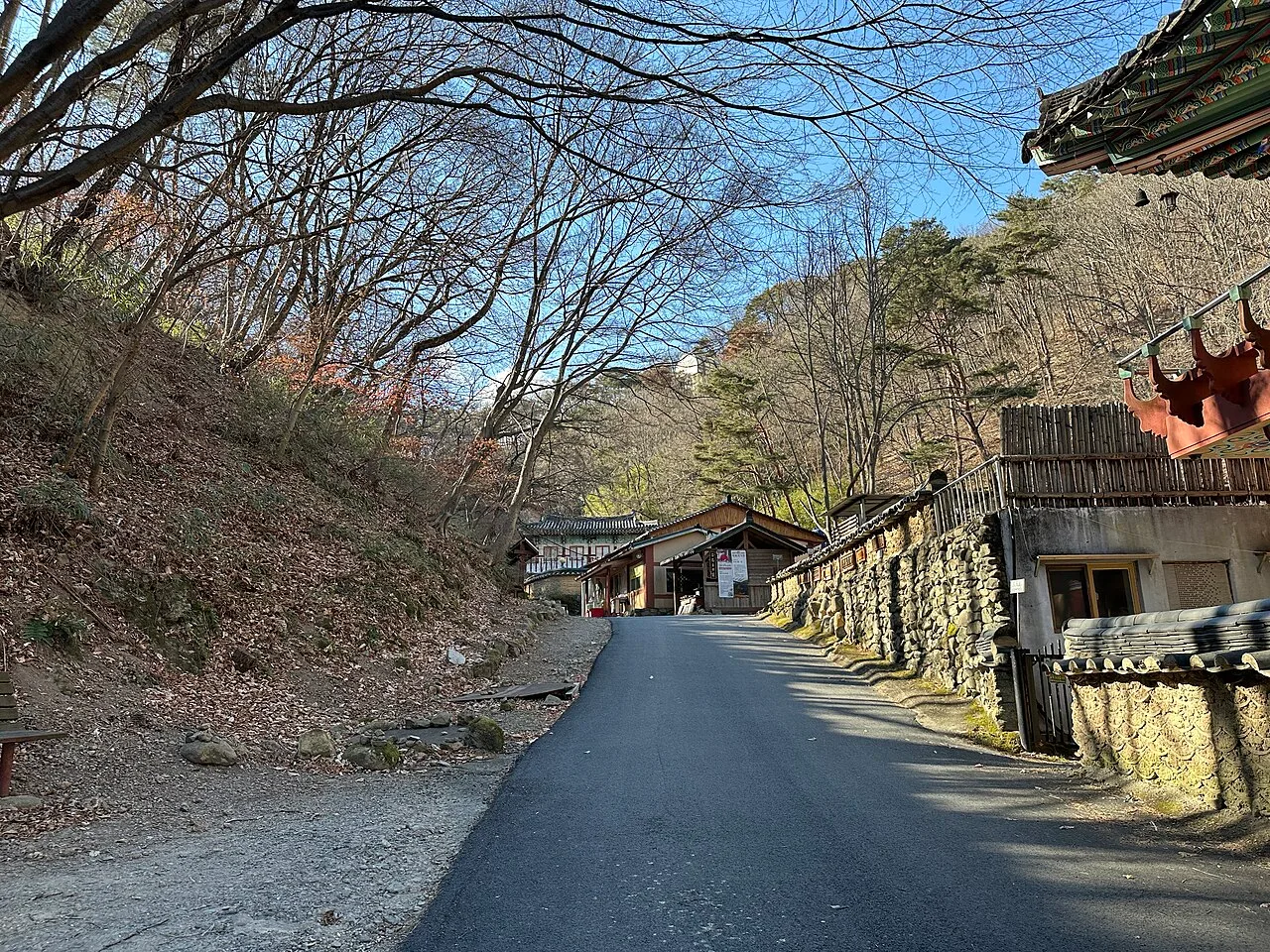 Sloping approach road between trees and buildings at Golgulsa